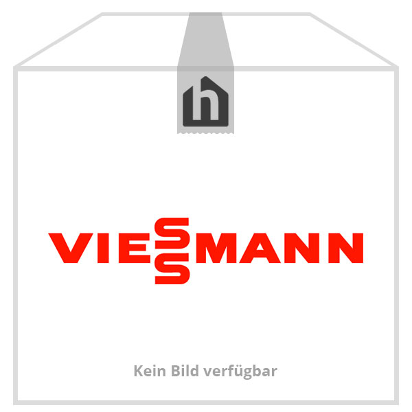 Viessmann Thermometer digital